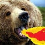 beardragon14