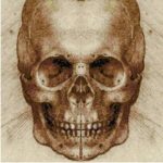 tinyheadbones