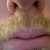 Profile picture of Tom Dale