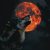 Profile picture of nightrunner